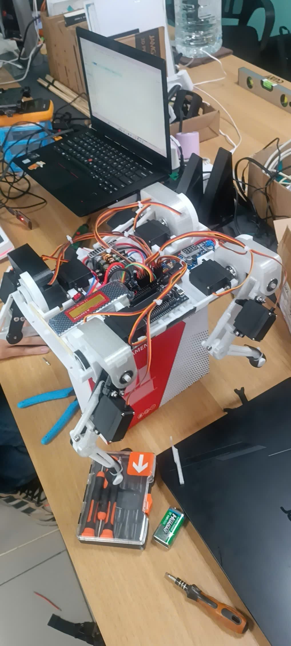Design of an Autonomous Quadruped Robot for Complex Terrain Navigation